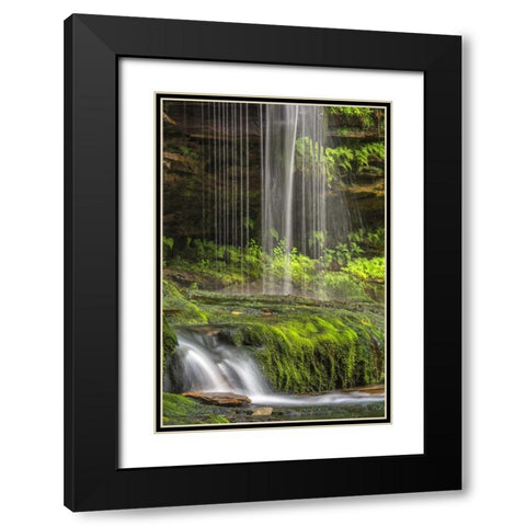 Pennsylvania Waterfall in Ricketts Glen SP Black Modern Wood Framed Art Print with Double Matting by OBrien, Jay