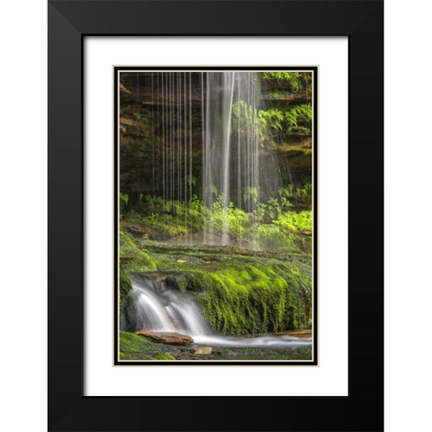 Pennsylvania Waterfall in Ricketts Glen SP Black Modern Wood Framed Art Print with Double Matting by OBrien, Jay