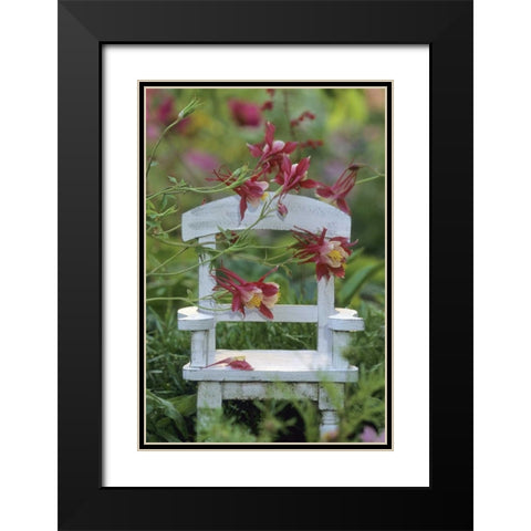 Pennsylvania Columbine and chair in garden Black Modern Wood Framed Art Print with Double Matting by Rotenberg, Nancy