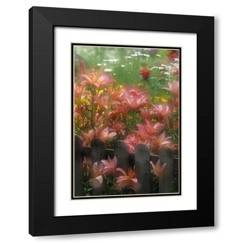 PA, Double exposure of lilies and fence in garden Black Modern Wood Framed Art Print with Double Matting by Rotenberg, Nancy
