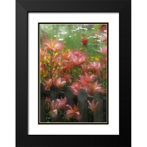 PA, Double exposure of lilies and fence in garden Black Modern Wood Framed Art Print with Double Matting by Rotenberg, Nancy