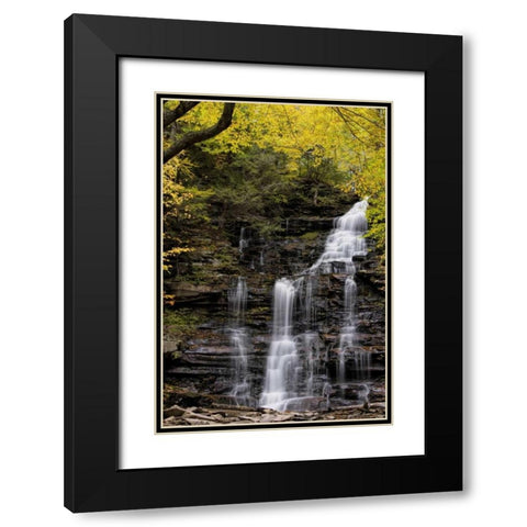 Pennsylvania Waterfall in Ricketts Glen SP Black Modern Wood Framed Art Print with Double Matting by OBrien, Jay