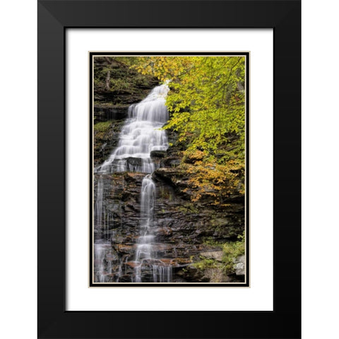 Pennsylvania Waterfall in Ricketts Glen SP Black Modern Wood Framed Art Print with Double Matting by OBrien, Jay