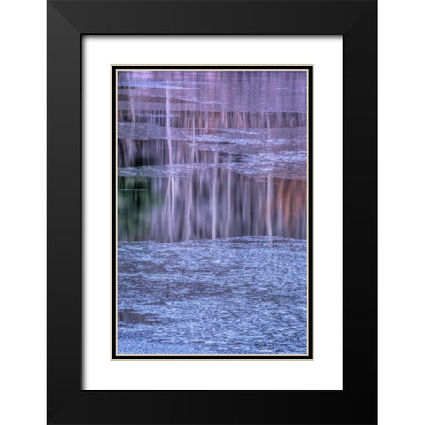 PA, Delaware Water gap NRA Tree reflection Black Modern Wood Framed Art Print with Double Matting by OBrien, Jay