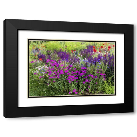 USA, Pennsylvania Summer flowers Black Modern Wood Framed Art Print with Double Matting by OBrien, Jay