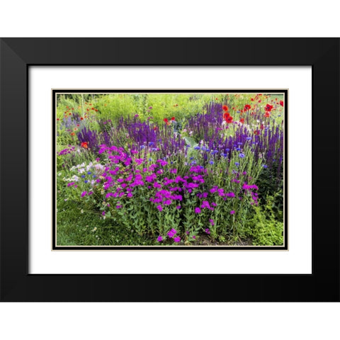 USA, Pennsylvania Summer flowers Black Modern Wood Framed Art Print with Double Matting by OBrien, Jay
