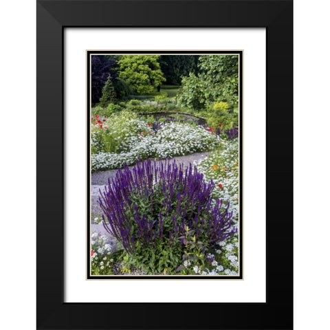 USA, Pennsylvania Summer flowers Black Modern Wood Framed Art Print with Double Matting by OBrien, Jay