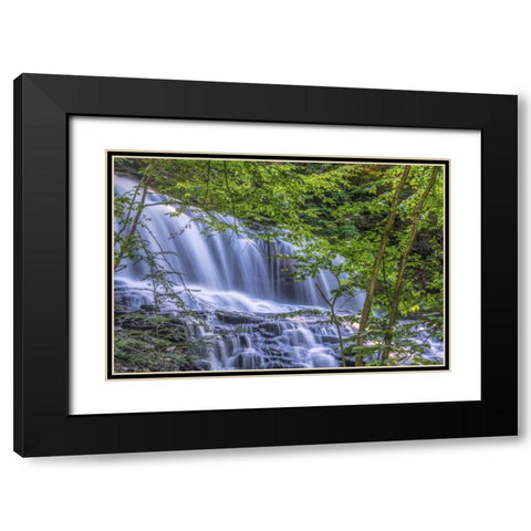 PA, Benton, Ricketts Glen SP Mohawk Falls Black Modern Wood Framed Art Print with Double Matting by OBrien, Jay