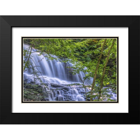 PA, Benton, Ricketts Glen SP Mohawk Falls Black Modern Wood Framed Art Print with Double Matting by OBrien, Jay