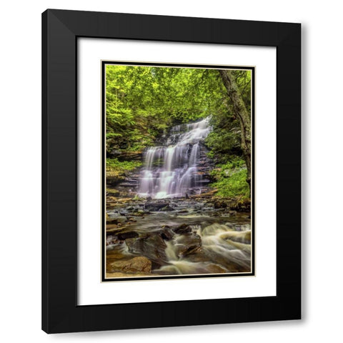 Pennsylvania, Ricketts Glen SP Mohican Falls Black Modern Wood Framed Art Print with Double Matting by OBrien, Jay