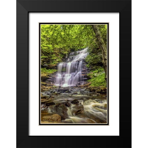Pennsylvania, Ricketts Glen SP Mohican Falls Black Modern Wood Framed Art Print with Double Matting by OBrien, Jay