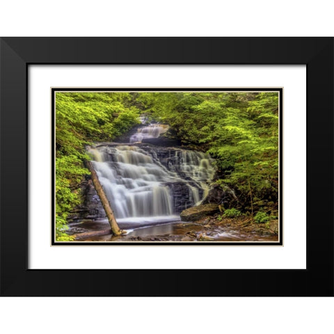 Pennsylvania, Ricketts Glen SP Mohican Falls Black Modern Wood Framed Art Print with Double Matting by OBrien, Jay