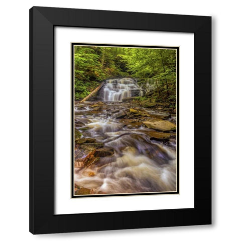 Pennsylvania, Ricketts Glen SP Mohican Falls Black Modern Wood Framed Art Print with Double Matting by OBrien, Jay
