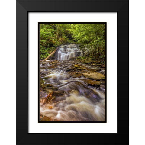 Pennsylvania, Ricketts Glen SP Mohican Falls Black Modern Wood Framed Art Print with Double Matting by OBrien, Jay