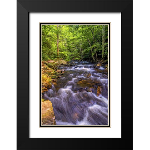 Pennsylvania, Ricketts Glen SP Kitchen Creek Black Modern Wood Framed Art Print with Double Matting by OBrien, Jay