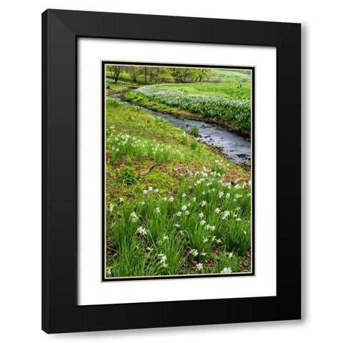 USA, Pennsylvania Spring scenic Black Modern Wood Framed Art Print with Double Matting by OBrien, Jay