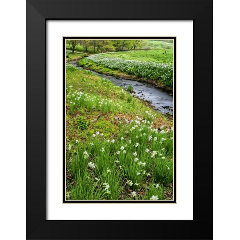 USA, Pennsylvania Spring scenic Black Modern Wood Framed Art Print with Double Matting by OBrien, Jay