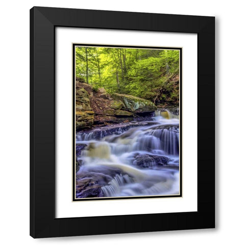 PA, Benton, Ricketts Glen SP Seneca Falls Black Modern Wood Framed Art Print with Double Matting by OBrien, Jay