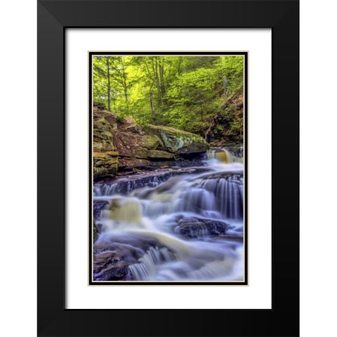 PA, Benton, Ricketts Glen SP Seneca Falls Black Modern Wood Framed Art Print with Double Matting by OBrien, Jay