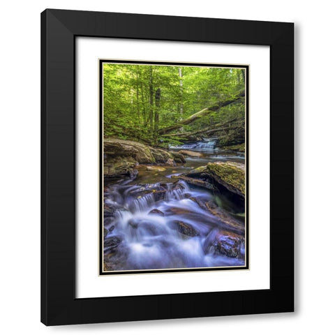 Pennsylvania, Ricketts Glen SP Kitchen Creek Black Modern Wood Framed Art Print with Double Matting by OBrien, Jay