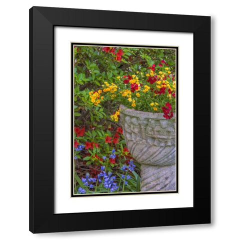 USA, Pennsylvania Flower scenic Black Modern Wood Framed Art Print with Double Matting by OBrien, Jay
