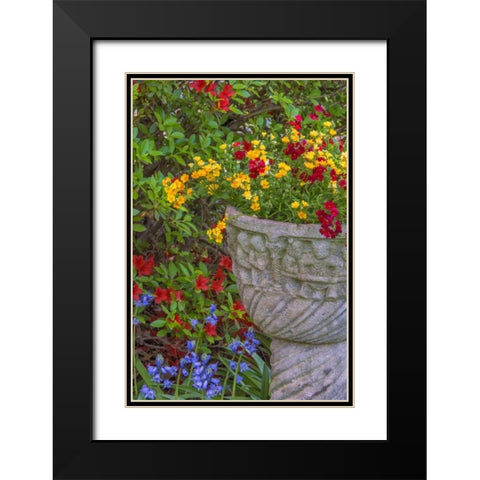 USA, Pennsylvania Flower scenic Black Modern Wood Framed Art Print with Double Matting by OBrien, Jay