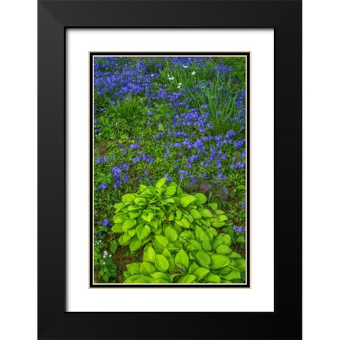 USA, Pennsylvania Spring scenic Black Modern Wood Framed Art Print with Double Matting by OBrien, Jay
