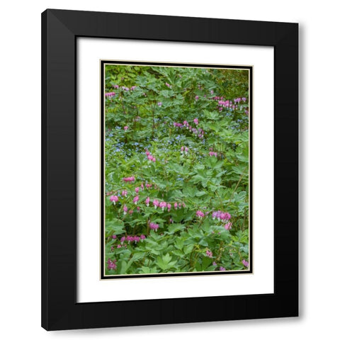 USA, Pennsylvania Spring scenic Black Modern Wood Framed Art Print with Double Matting by OBrien, Jay