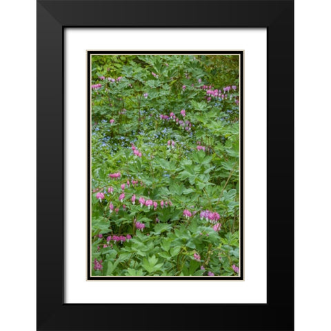 USA, Pennsylvania Spring scenic Black Modern Wood Framed Art Print with Double Matting by OBrien, Jay