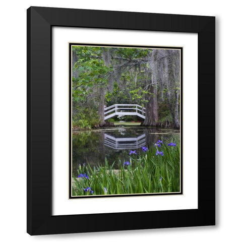 South Carolina, Wood footbridge reflects in pond Black Modern Wood Framed Art Print with Double Matting by Rotenberg, Nancy