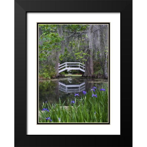 South Carolina, Wood footbridge reflects in pond Black Modern Wood Framed Art Print with Double Matting by Rotenberg, Nancy
