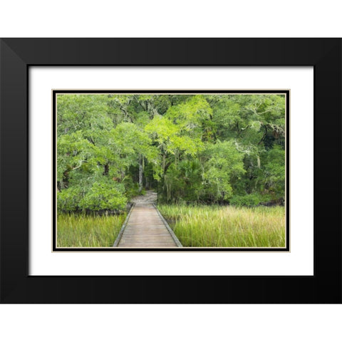 SC, Edisto Beach SP Boardwalk over swamp Black Modern Wood Framed Art Print with Double Matting by Paulson, Don