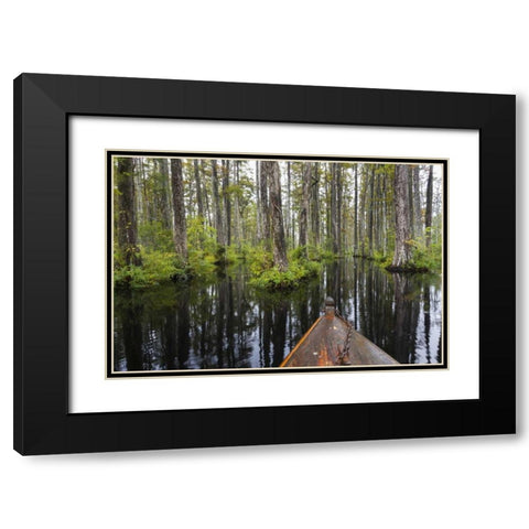 South Carolina Boat bow in cypress swamp Black Modern Wood Framed Art Print with Double Matting by Paulson, Don