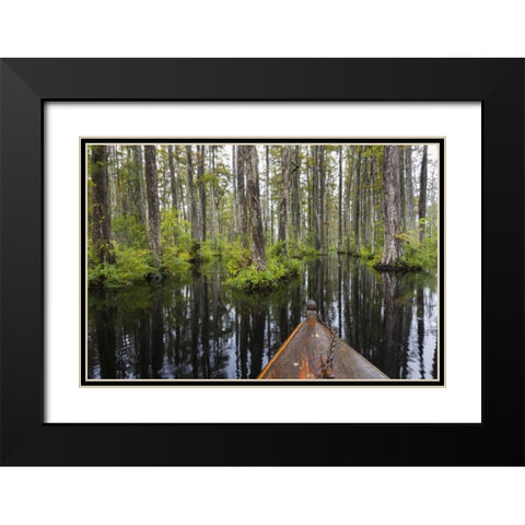 South Carolina Boat bow in cypress swamp Black Modern Wood Framed Art Print with Double Matting by Paulson, Don