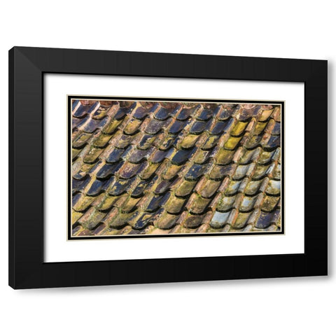 SC, Charleston Roof tiles on Plantation building Black Modern Wood Framed Art Print with Double Matting by Paulson, Don