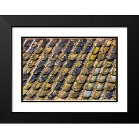 SC, Charleston Roof tiles on Plantation building Black Modern Wood Framed Art Print with Double Matting by Paulson, Don