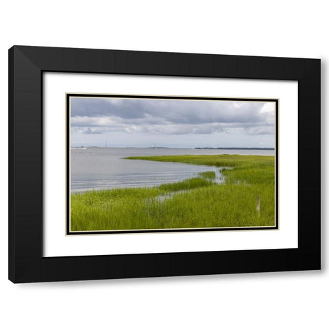 Usa-South Carolina-Charleston Black Modern Wood Framed Art Print with Double Matting by Looney, Hollice