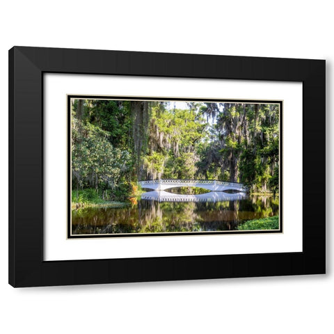 USA- South Carolina- Charleston. Magnolia Plantation Black Modern Wood Framed Art Print with Double Matting by Looney, Hollice