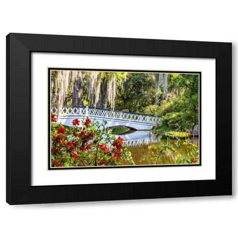 USA- South Carolina- Charleston. Magnolia Plantation Black Modern Wood Framed Art Print with Double Matting by Looney, Hollice