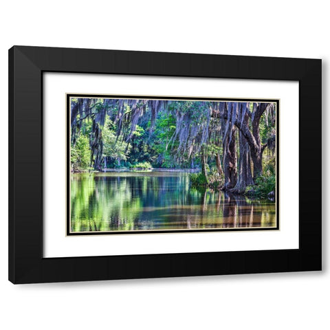 USA- South Carolina- Charleston. Magnolia Plantation Black Modern Wood Framed Art Print with Double Matting by Looney, Hollice