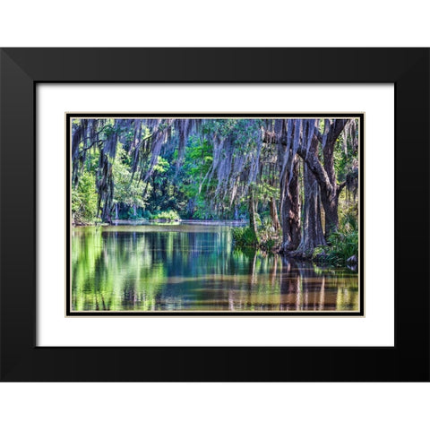 USA- South Carolina- Charleston. Magnolia Plantation Black Modern Wood Framed Art Print with Double Matting by Looney, Hollice