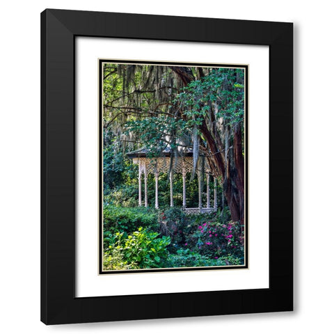 USA- South Carolina- Charleston. Magnolia Plantation Black Modern Wood Framed Art Print with Double Matting by Looney, Hollice