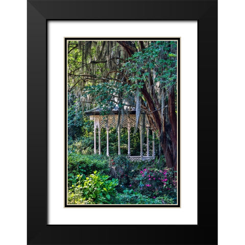 USA- South Carolina- Charleston. Magnolia Plantation Black Modern Wood Framed Art Print with Double Matting by Looney, Hollice