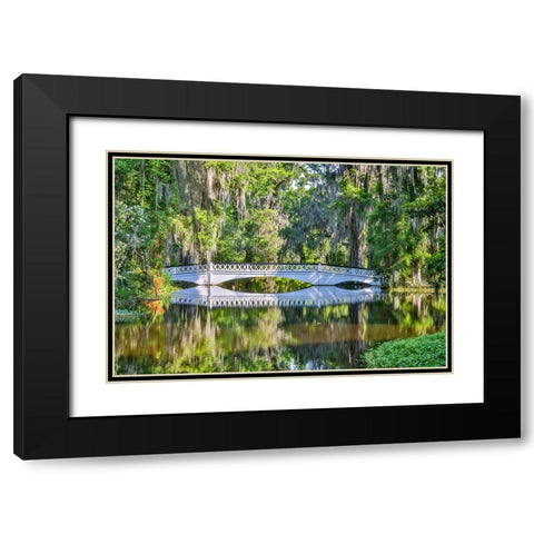 USA- South Carolina- Charleston. Magnolia Plantation Black Modern Wood Framed Art Print with Double Matting by Looney, Hollice