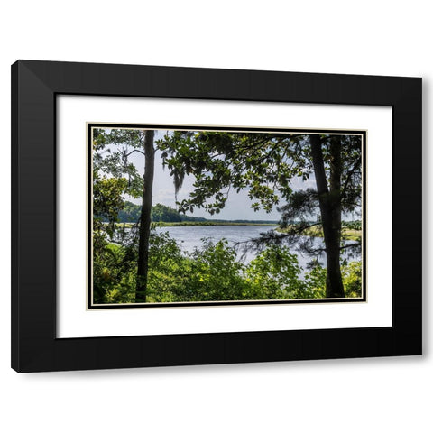 USA- South Carolina- Charleston. Middleton Plantation Black Modern Wood Framed Art Print with Double Matting by Looney, Hollice