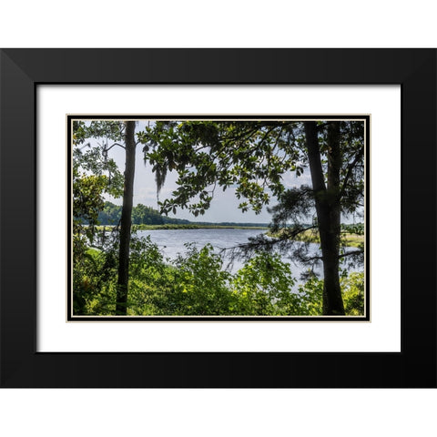 USA- South Carolina- Charleston. Middleton Plantation Black Modern Wood Framed Art Print with Double Matting by Looney, Hollice