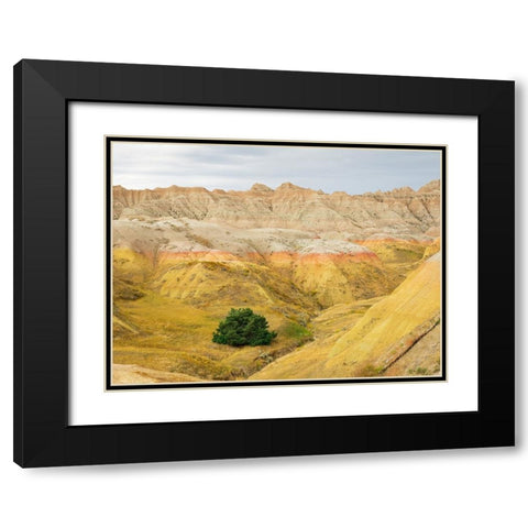 South Dakota- Badlands National Park. Badlands rock formations- Yellow Mounds Black Modern Wood Framed Art Print with Double Matting by Wild, Jamie and Judy