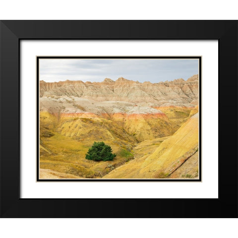 South Dakota- Badlands National Park. Badlands rock formations- Yellow Mounds Black Modern Wood Framed Art Print with Double Matting by Wild, Jamie and Judy