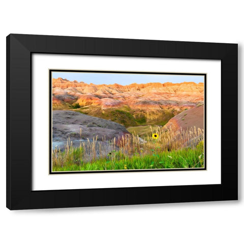 A painterly image of softer hoodoos set against a row of wildflowers and grass Black Modern Wood Framed Art Print with Double Matting by Haddad, Sheila