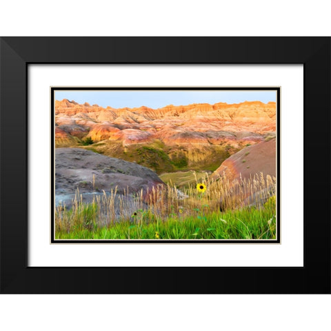 A painterly image of softer hoodoos set against a row of wildflowers and grass Black Modern Wood Framed Art Print with Double Matting by Haddad, Sheila
